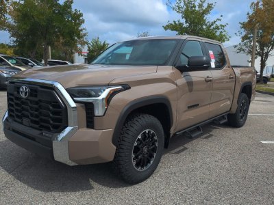 Mudbath Tundra.jpg