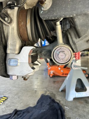 IMG_3696.jpeg IMG_3696.jpeg