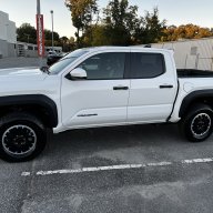 Tacoma Dude